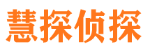 凤山市调查公司